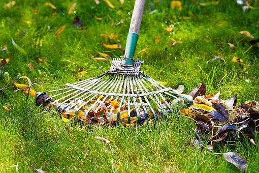 raking leaves