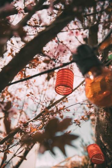 paper lanterns above patio