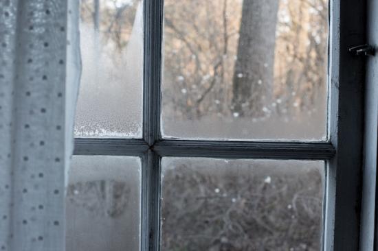 Clearing the Fog: Knowing the Signs of Window Seal Failure