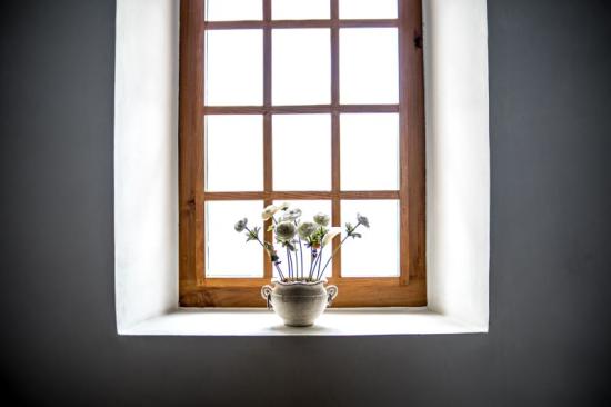 vase of flowers inside window sill